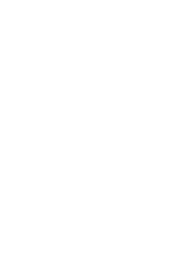DUI Lawyer Boise disclaimer icon